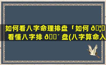 如何看八字命理排盘「如何 🦟 看懂八字排 🌴 盘(八字算命入门级教程)精编版」